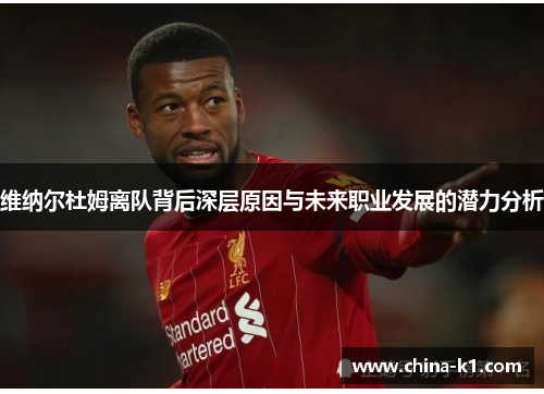 维纳尔杜姆离队背后深层原因与未来职业发展的潜力分析