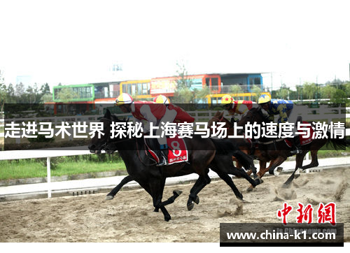 走进马术世界 探秘上海赛马场上的速度与激情