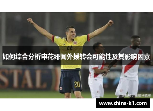 如何综合分析申花绯闻外援转会可能性及其影响因素