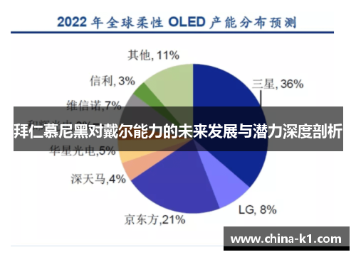 拜仁慕尼黑对戴尔能力的未来发展与潜力深度剖析