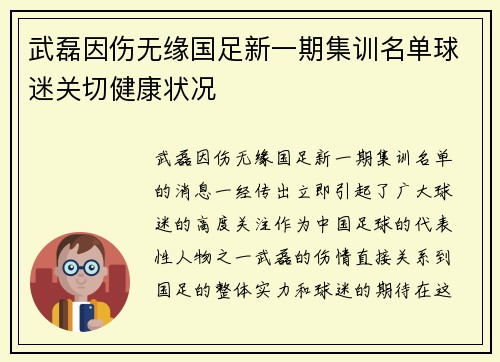 武磊因伤无缘国足新一期集训名单球迷关切健康状况
