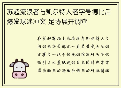 苏超流浪者与凯尔特人老字号德比后爆发球迷冲突 足协展开调查